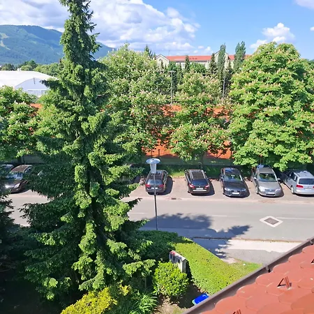Tabor View With Sauna-free Parking Lejlighed *