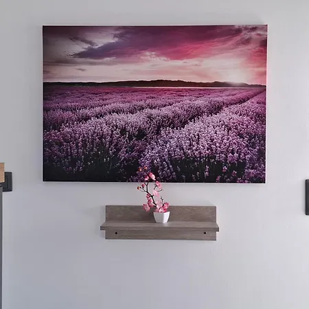 アパート Tabor View